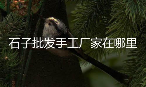 石子馍在哪批发好卖、广州批发各色水洗石子、东莞石子批发电话、白云岩石子批发